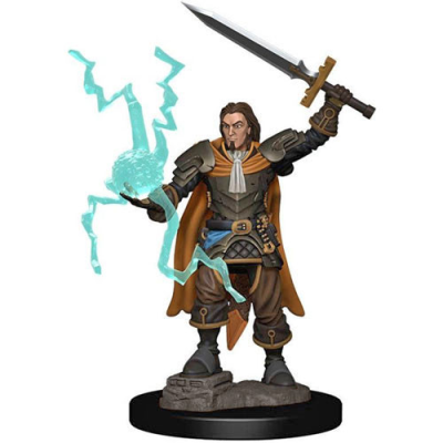 Pathfinder Battles Premium Painted Figure: Human Cleric Male