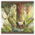 Redwood: Big Box