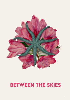 Between the Skies RPG: Collected Edition Hardcover
