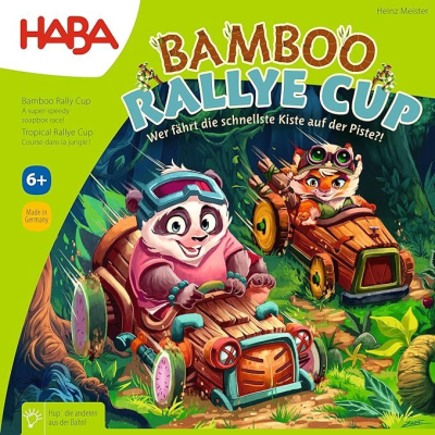 Rallyrace: Educatief Spel Rallyrace: Educatief Spel